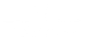 FNP Paris